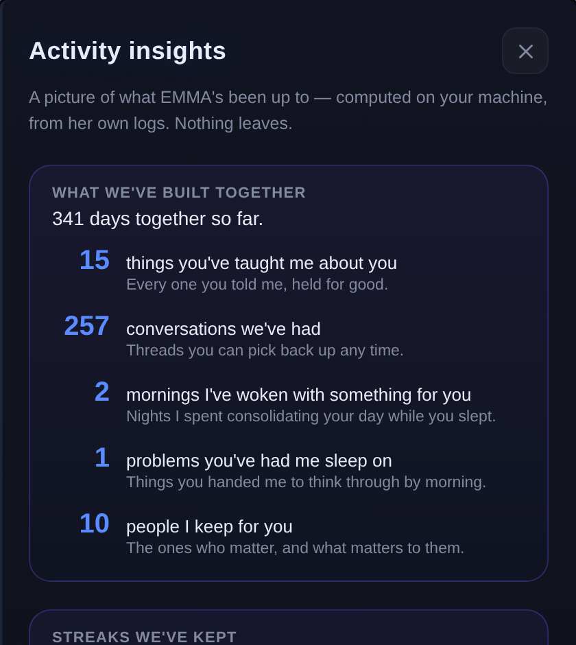 EMMA's activity view, counting patterns across months of conversation